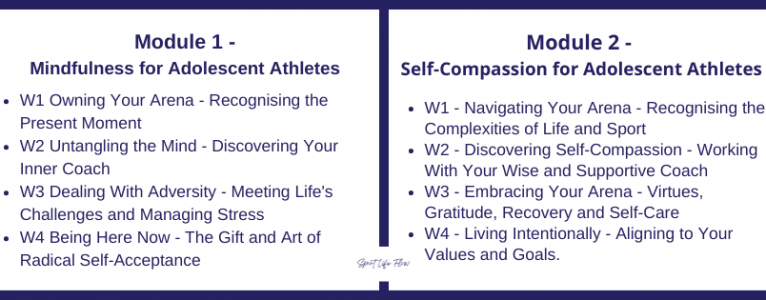The Adolescent Athlete’s Well-Being Toolkit